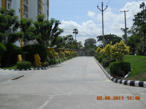 Main Road View